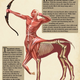 Illustration for article titled What The Inside Of Famous Monsters Looks Like
